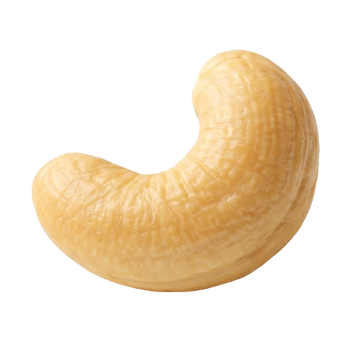 Premium Dry Fruits for a Healthy Lifestyle